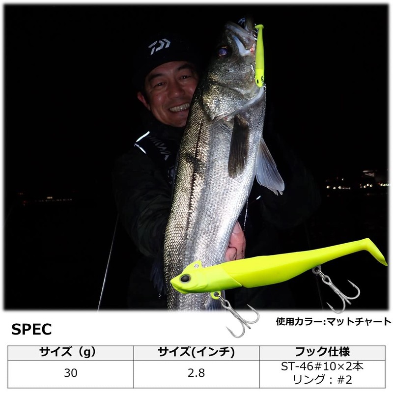 Daiwa Sea Bass/Flounder Lure SB-Rodem TG 30g, Chart H Sardine