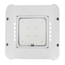 DEOJOY 100W LED Canopy Light Fixture, HID/HPS Replacement, 5700K, AC100-277V, IP65 Waterproof, Canopy Light Outdoor for Gas Station, Warehouse