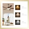 Gugxiom 3.93 Inch LED Ceiling Fan Light, 18w 2000lm 3