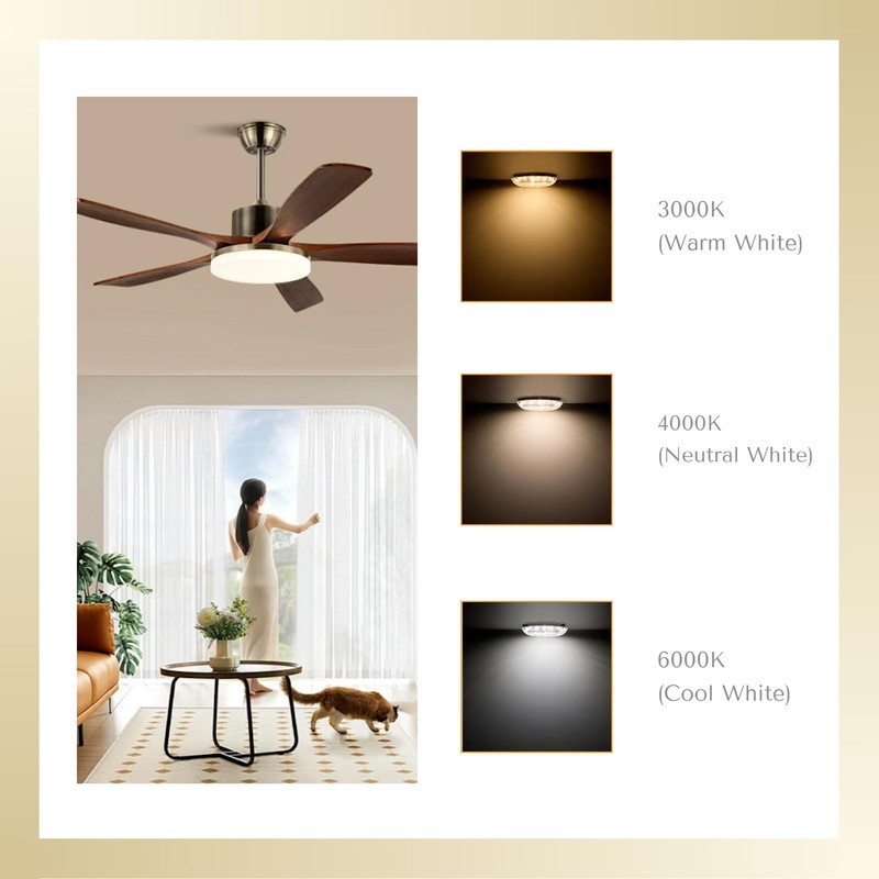 Gugxiom 3.93 Inch LED Ceiling Fan Light, 18w 2000lm 3