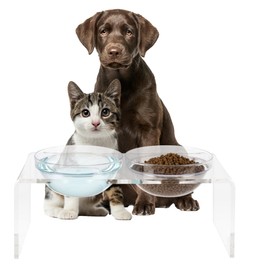 Elevated Dog and Cat Bowls Set - 7.1-Inch Tall Acrylic Dog Bowl Stand with 2 Removable Stainless Steel Bowls and 2 Plastic Bowls for Food and Water - Modern Cat and Dog Products by PETMAKER