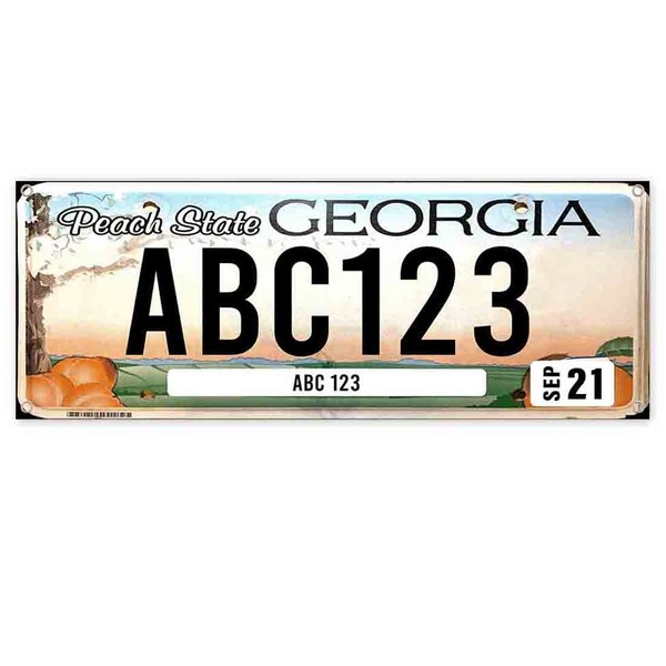License Plate Georgia Customizable Banner 13 oz | Non-Fabric |