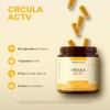 Active Circulation Jengibre, Ajo, Cúrcuma y Omega 3-6-9 VITAL BOTANICS