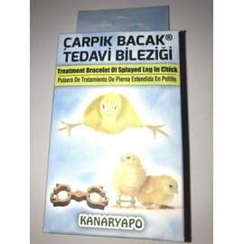 Fit Fly Chicken Chick Splayed Leg Treatment Bracelets