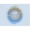 BestCity Fly Fishing Saltwater Line WF10f dual colour Blue and