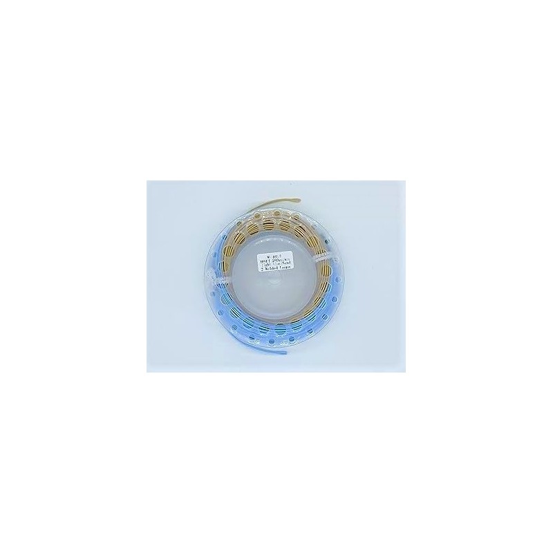 BestCity Fly Fishing Saltwater Line WF10f dual colour Blue and