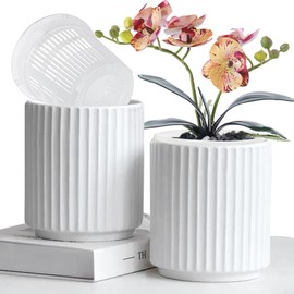 MUZHI Double Layer White Ceramic Orchid Planter with Saucer, Orchid Pots with Holes 4.6" Set of 2, Modern Minimal Cylinder Striped Plant Pot with Drainage 4.6” (White)