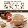 Sanwa Shokuken Warm Aged Ginger, 1 Pack (62 Bags)