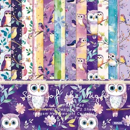 24-Sheet 6x6" Cute Owls Pattern Paper Pad – 12 Adorable Designs for DIY Card Making, Origami & Scrapbooking | Heavyweight 190gsm Cardstock