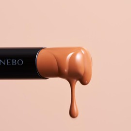 Kanebo Rouge Star Vibrant V10