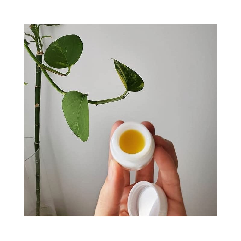 Dr. Hauschka Lip Balm, Beeswax, 0.2 fl oz (4.5 ml)