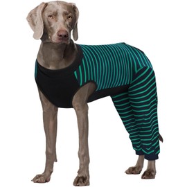 Kuoser Dog Recovery Suit, Anti Licking Dog Rear Leg Sleeve, Abdominal Dog Surgical Suit with Pants Cover Protect Wounds, Dog Elbow Protector Soft Dog Surgery Onesie Cone Alternative, Green 2XL