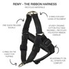 Pet Passion Adjustable Recycled Ribbon Dog Harness for All Pet