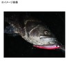 Apia BALEINE (Baleine) 125F #01 Hammer Clear 125mm