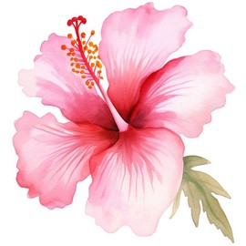 Wild Plant 6 Sheets Temporary Tattoos for Men Adults Wildflower Hibiscus Pink Flower in a Watercolor Style Isolated Full Name of The Temporary tattoo for Women Neck Arm Chest for Woman