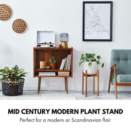 Fox & Fern Mid Century Tall Plant Stand — 10 Inch Fixed Size Raised Wooden Plant Stand for Indoor Planters (Not Included); Modern Flower Pot Holder with Plug In Design; Easy to Assemble - Acacia
