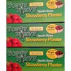 Felknor Ventures TT041112 Topsy Turvy Strawberry Planter
