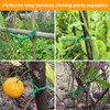 Tenn Well Green Plant Ties, 32 Feet 5mm Soft Garden