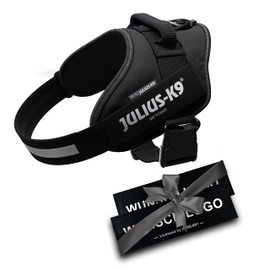 JULIUS K-9 IDC Power Harnesses Anthracite Grey with Individual Velcro Lettering Bundle Optional Size, Small, Medium and Large Dogs, 16IDC+CUSTOMP-ANT
