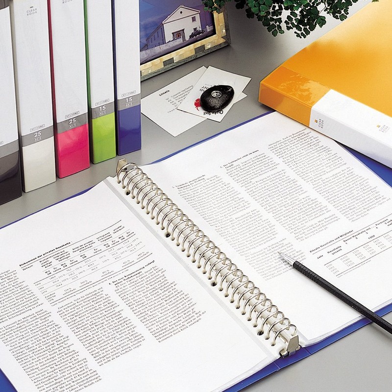 Lihit Lab G3801-8 30 Ring Binder, A4, 15 Protect Sheets,