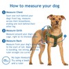 DOCO Solar Air Step-in Reflective Dog Mesh Harness for Walking