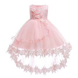 Baby Toddler Lace Dress Girls First Baptism Elegant Embroidery Wedding Party Flower Bridesmaid Dresses Up