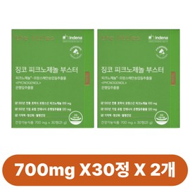 The Littles Ginkgo Pycnogenol Booster 30 servings, 2 units (gingko leaf extract improves blood circulation), 30 tablets, 2 boxes / 더리틀스 징코 피크노제놀 부스터 30회분 2개(은행잎추출물 혈행개선), 30정, 2박스
