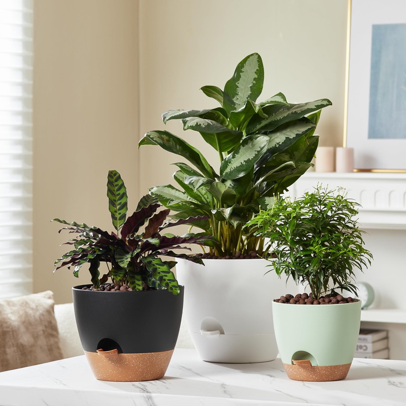 FaithLand 3-Pack Planter Pots, 10 9 8 Inch Self Watering