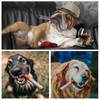 Half Forest 4 Stück Hundespielzeug Zigarette Interaktives Hundespielzeug Lustige Zigarettenform
