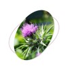 헬씨허그 Liver Health N Premium Milk Thistle Silymarin Milk Thistle
