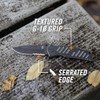 Gerber Gear 31-000594 - Cuchillo Swagger, borde dentado, punto de