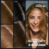Clairol Root Touch-Up Temporary Concealing Powder, Dark Brown Hair Color