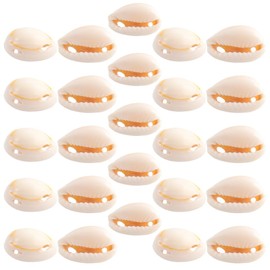 SEWACC Colgante De Concha Marina Natural De 1 6 Cm Para Pendientes Collares Y Bisutería (50 Unidades)