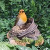 Robin Standing on Rusty Pail Guarding Eggs Highly Detailed Home