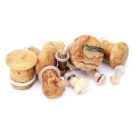 Pair of Crazy Lace Agate Single Flare Stone Ear Plugs Silicone O-Ring Expander Gauges 0ga - 1 inch E619