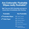 Cottonelle Flushable Wet Wipes for Adults, 2 Flip-Top Packs, 42