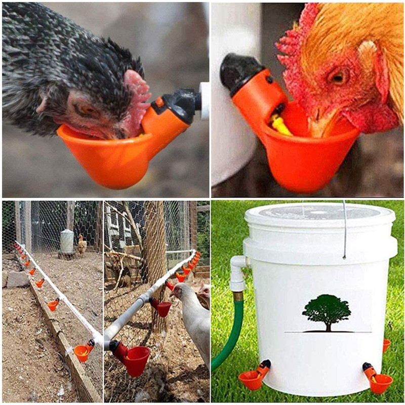 Automatic Chicken Drinkers Waterers Upgraded - 10 Pcs Red Poultry
