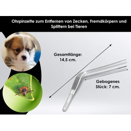 Curved Ear Tweezers - Stainless Steel