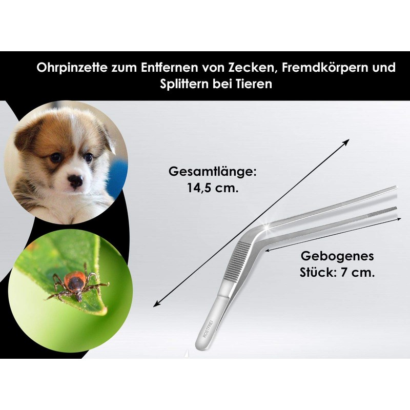 Curved Ear Tweezers - Stainless Steel