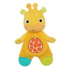 Bright Starts Snuggle & Teethe BPA-free Crinkle Teething Plush Baby
