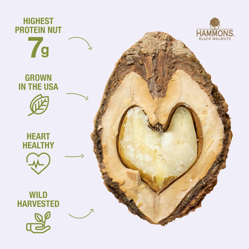Hammons Fancy Large Black Walnuts -Wild Harvested - Non-GMO -