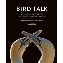 Bird Talk: An Exploration of Avian Communication