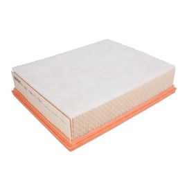 Original MANN-FILTER Air Filter C 29 198/1 – For Passenger Cars