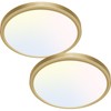 zemty 2Pack LED Ceiling Light Golden - 12In 28W Aureate