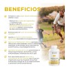 Bio B Omega 3 Plus | 873mg Epa Y 567mg