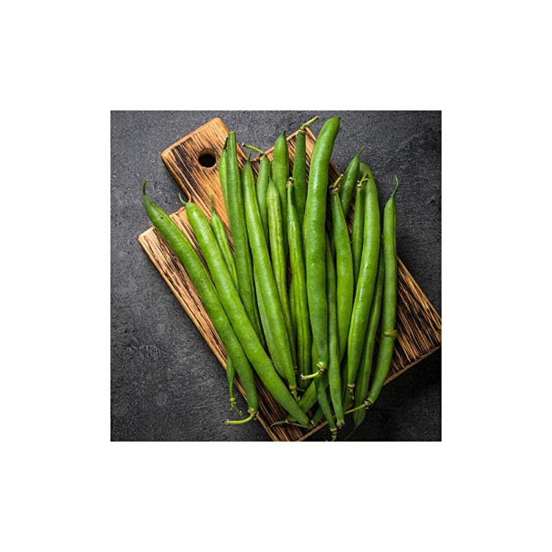 Everwilde Farms - 1/4 Lb Tenderette Green Bean Seeds -