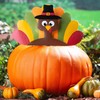 13 1/4" x 7 3/4" Thanksgiving Pilgrim Turkey Pumpkin Poke-In