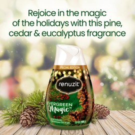 Renuzit Seasonal Gel Air Freshener, Evergreen Magic, 12 count Total Air Fresheners