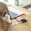 Sanwa Supply USB Type-C Hub (2 x C) USB-3TCP12BK