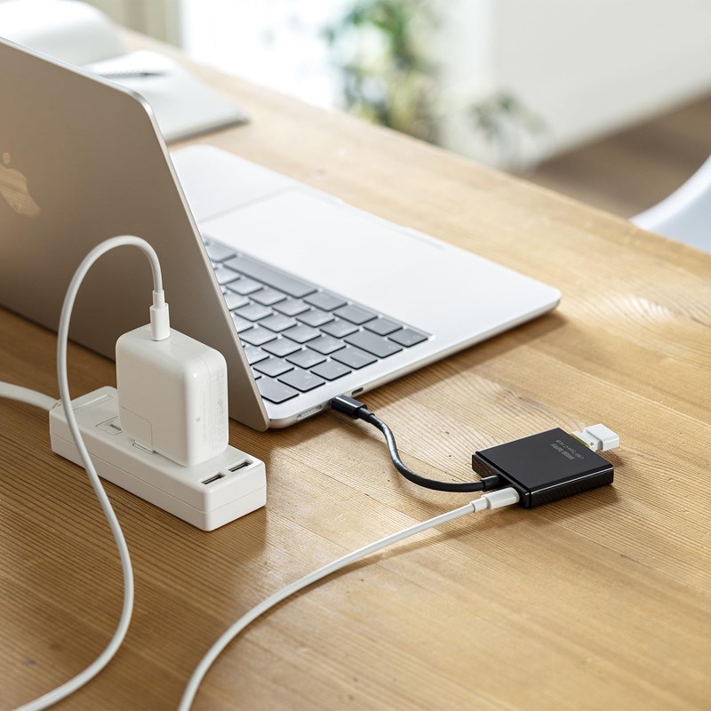 Sanwa Supply USB Type-C Hub (2 x C) USB-3TCP12BK